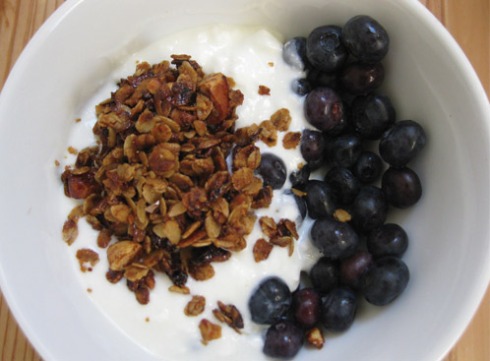 Homemade granola with sheep's yogurt and blueberries